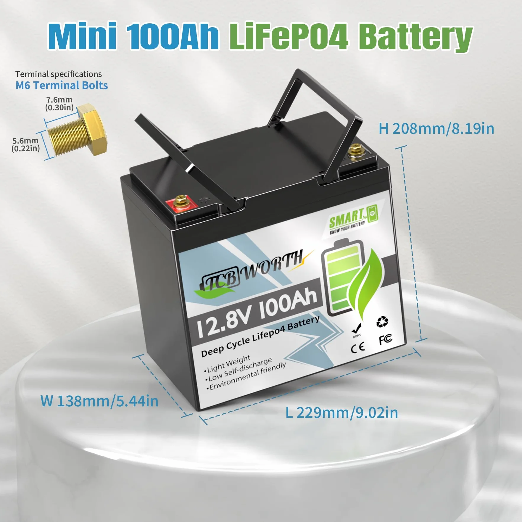 TCBWORTH LiFePO4 12 V 100 Ah Bluetooth baterie litowe 100 A BMS, niska temperatura i 4000+ głęboki cykl, 1280 Wh do kampera, łodzi, domu, zestawu paneli słonecznych, kempingu