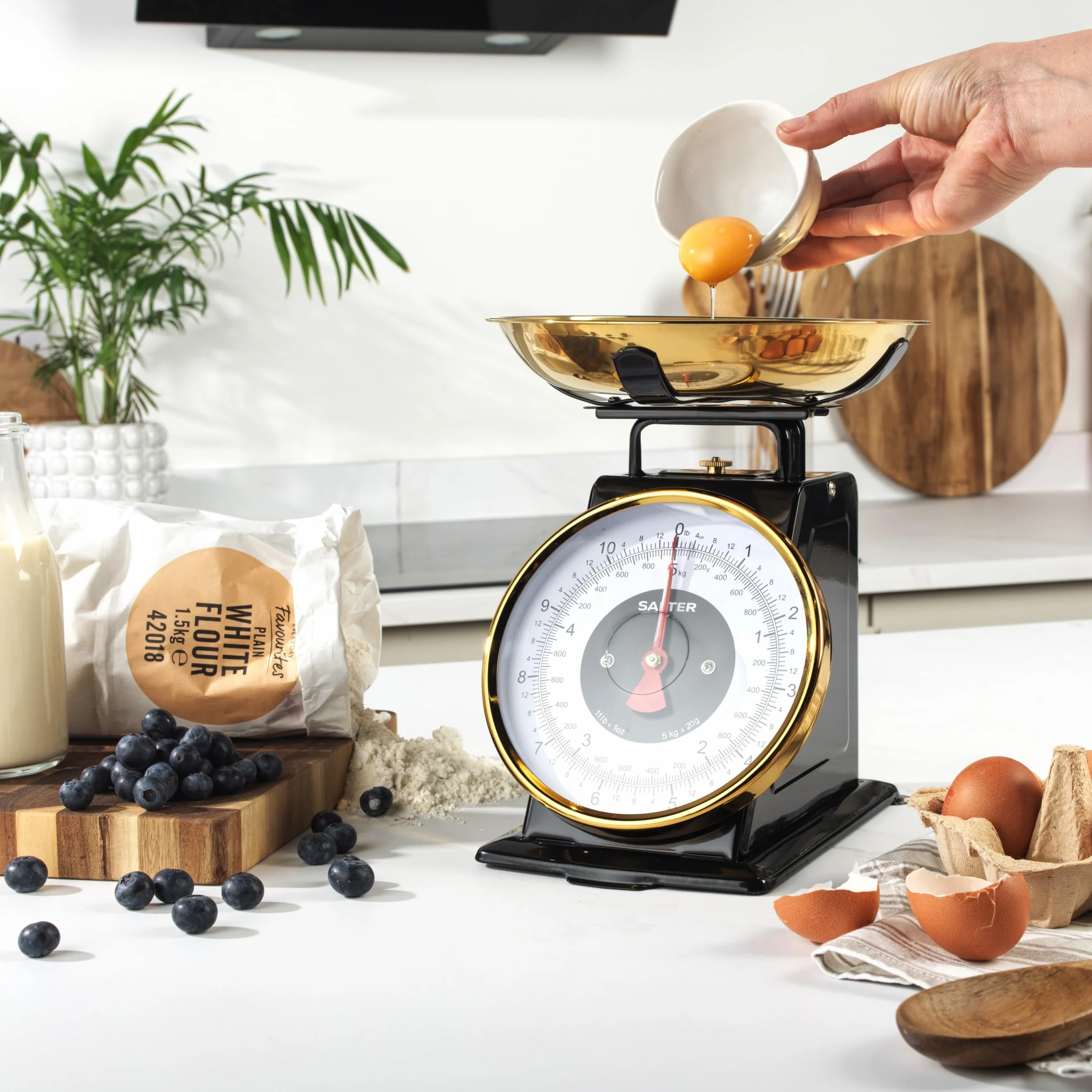 Salter mechaniczna waga kuchenna 5 kg stal nierdzewna miska 1 l przyrost 20 g