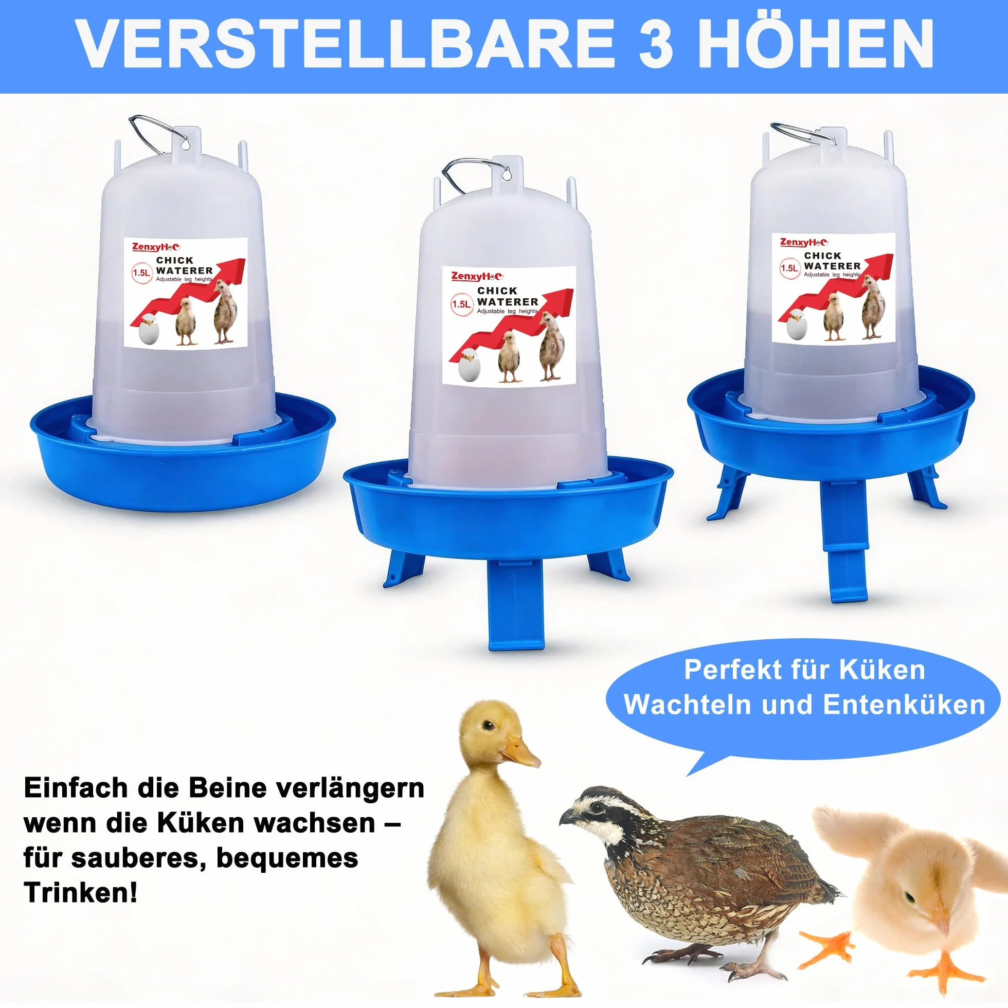 ZenxyHoC automatyczny karmnik i poidło dla piskląt 1 l 1,5 l 3 wysokości niebieski