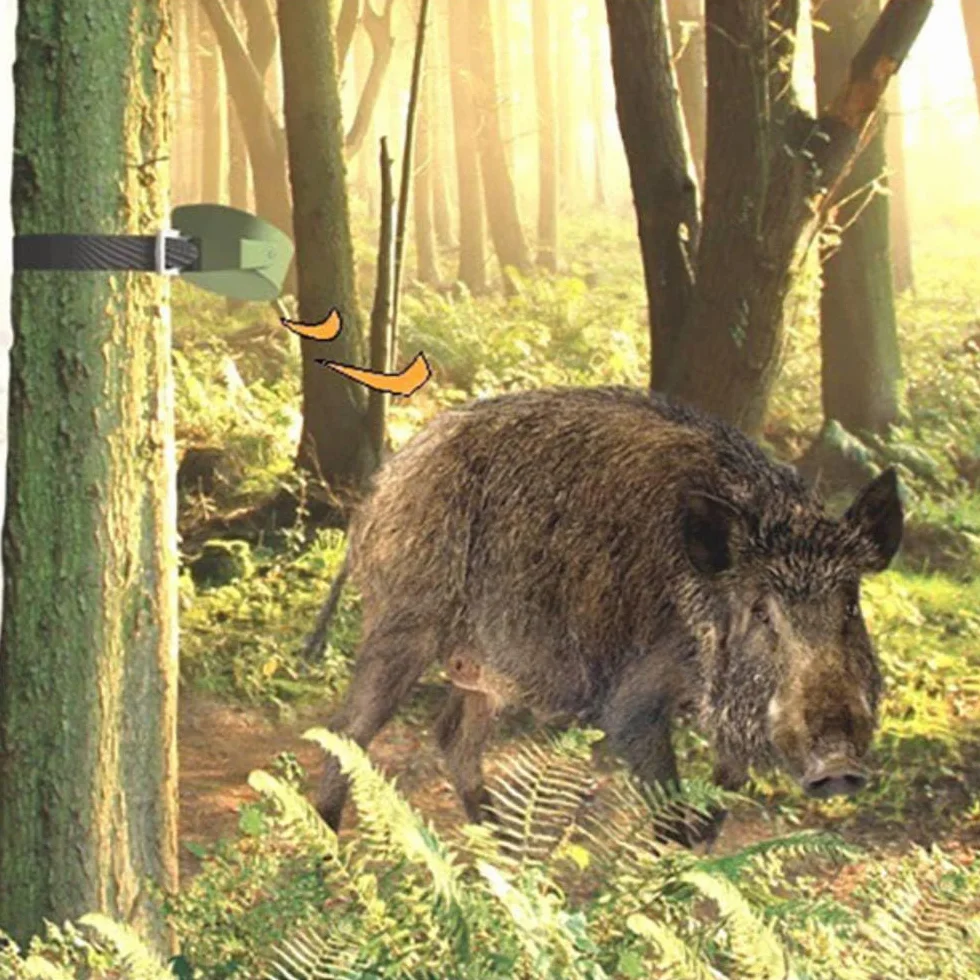 InnovAdvance HA702 alarm myśliwski 1 czujnik