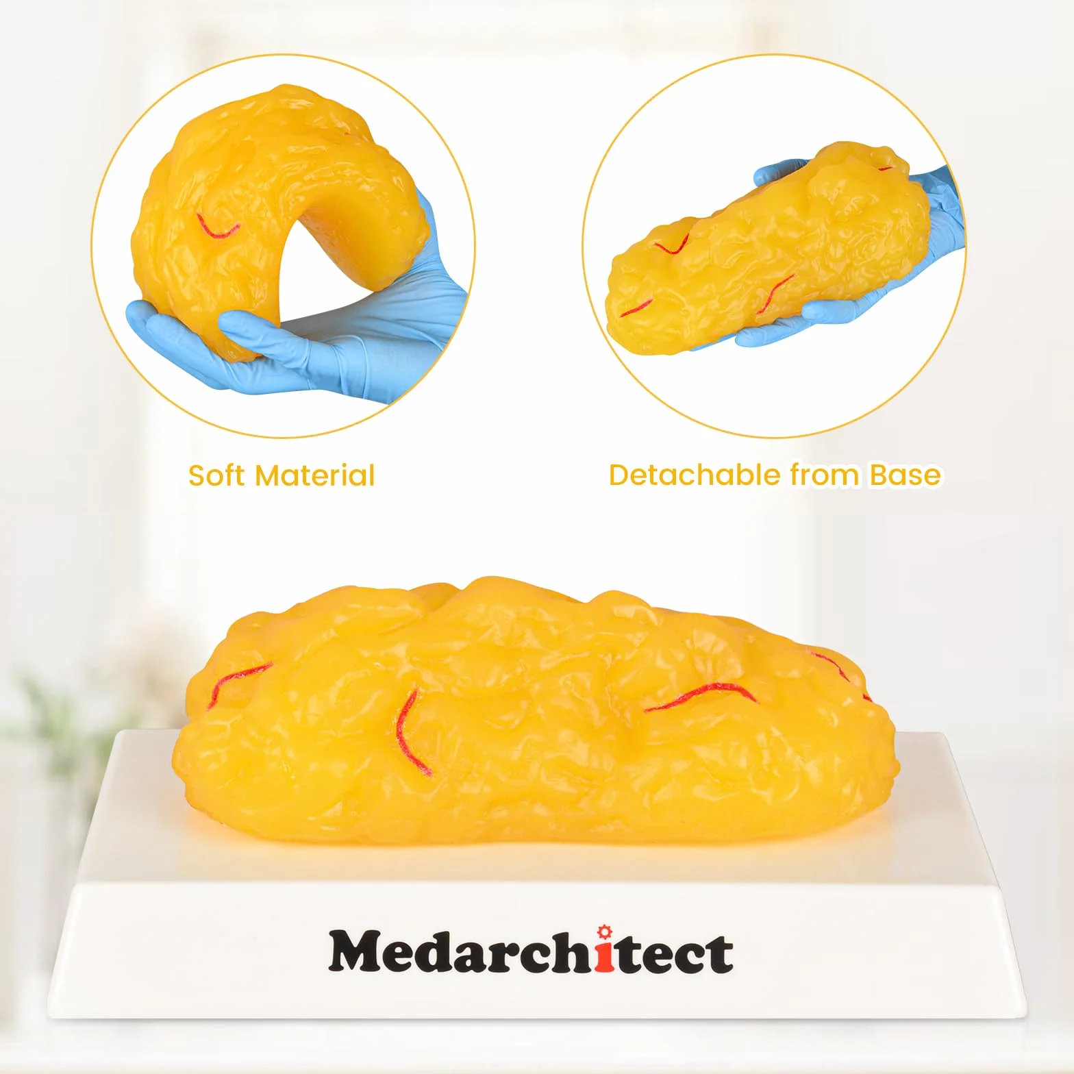 Model anatomiczny tkanki tłuszczowej 450 gm