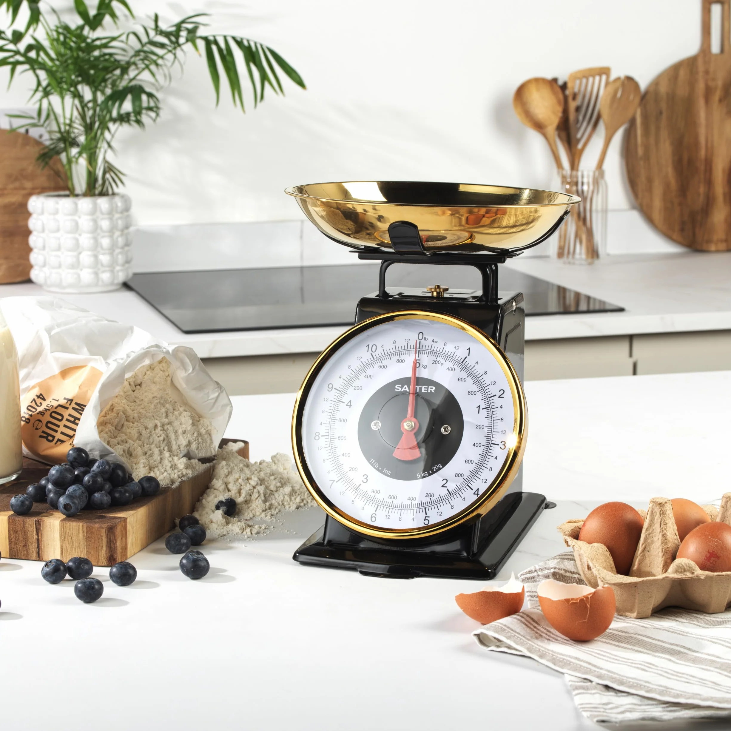 Salter mechaniczna waga kuchenna 5 kg stal nierdzewna miska 1 l przyrost 20 g