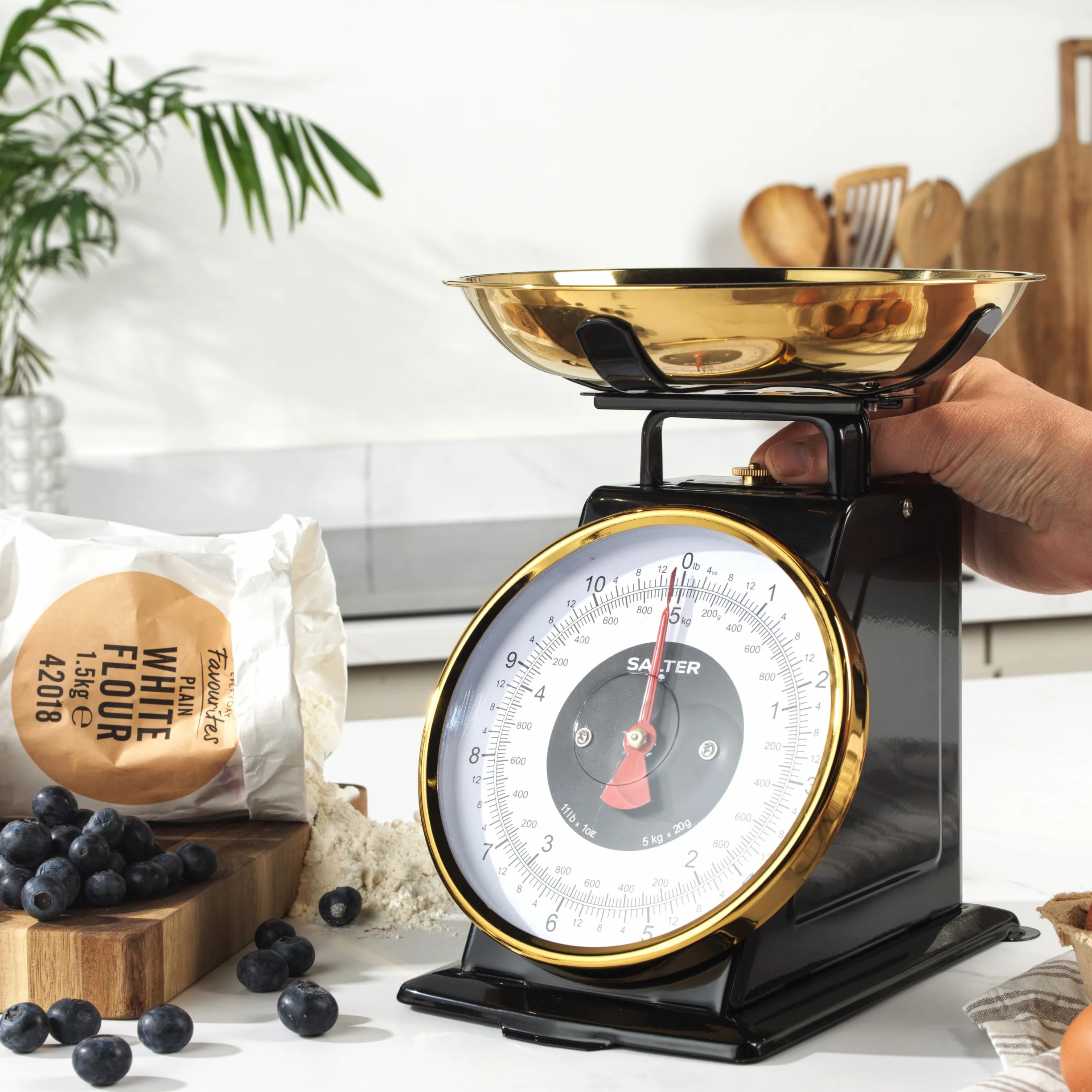 Salter mechaniczna waga kuchenna 5 kg stal nierdzewna miska 1 l przyrost 20 g