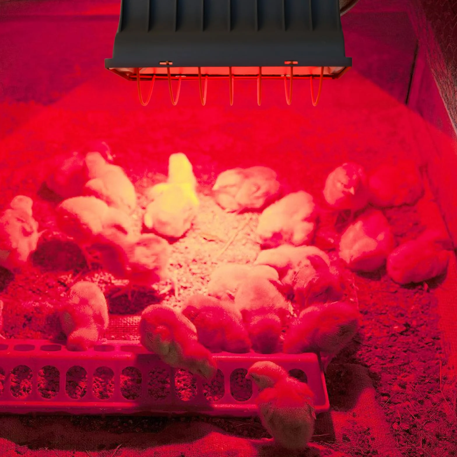 Lampa grzewcza 1,8 m promiennik ciepła z wtyczką EU czerwone światło z przełącznikiem dla zwierząt