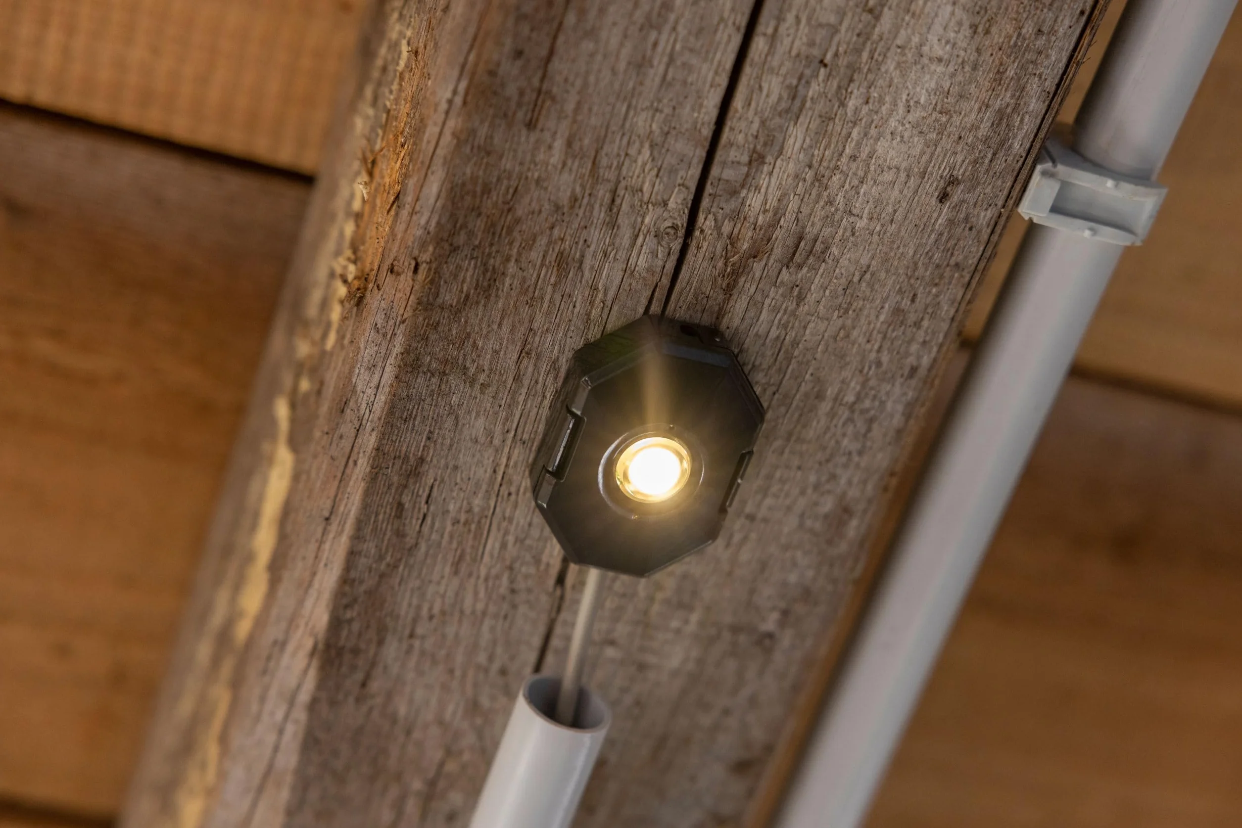 Kerbl Smartcoop Lampa LED do Stodoły 2 m²