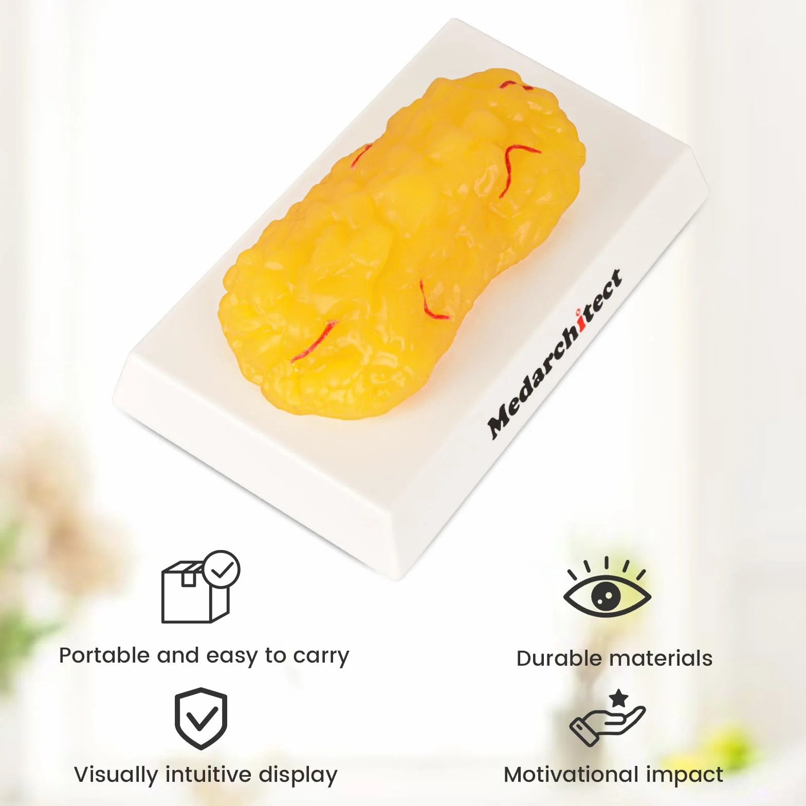 Model anatomiczny tkanki tłuszczowej 450 gm