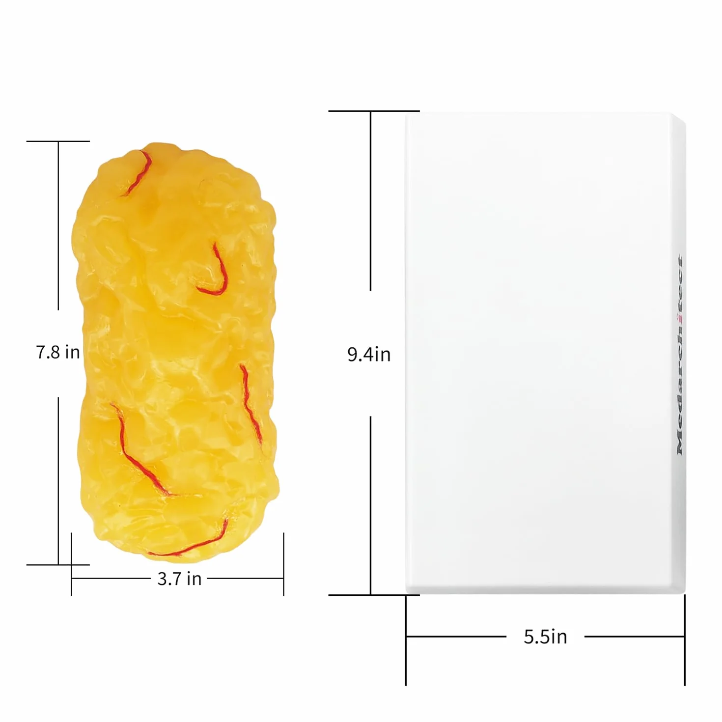 Model anatomiczny tkanki tłuszczowej 450 gm
