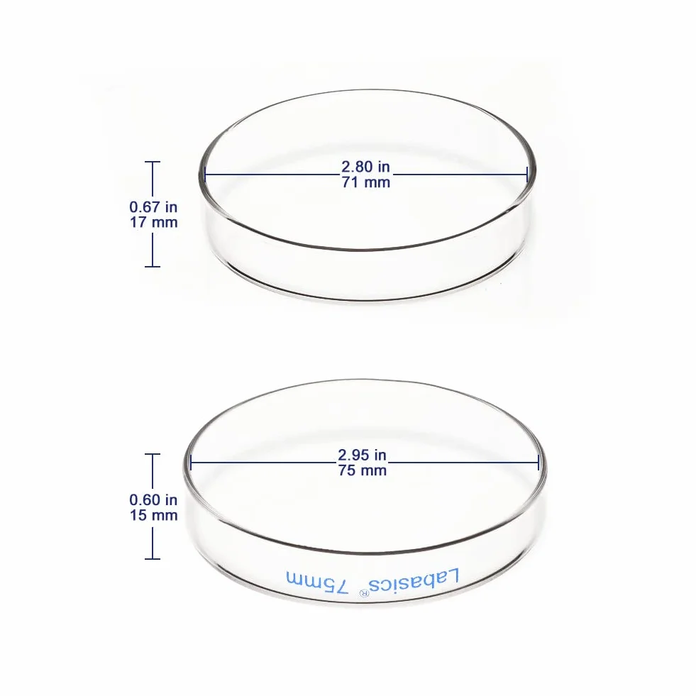 Labasics Szklane Szalki Petriego 75x15 mm Autoklawowalne Szkło Borokrzemianowe