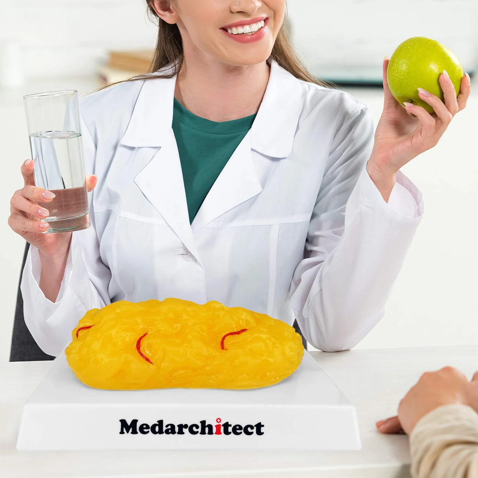 Model anatomiczny tkanki tłuszczowej 450 gm
